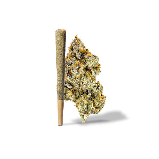 Oreeo Pre-Roll 1 Gram